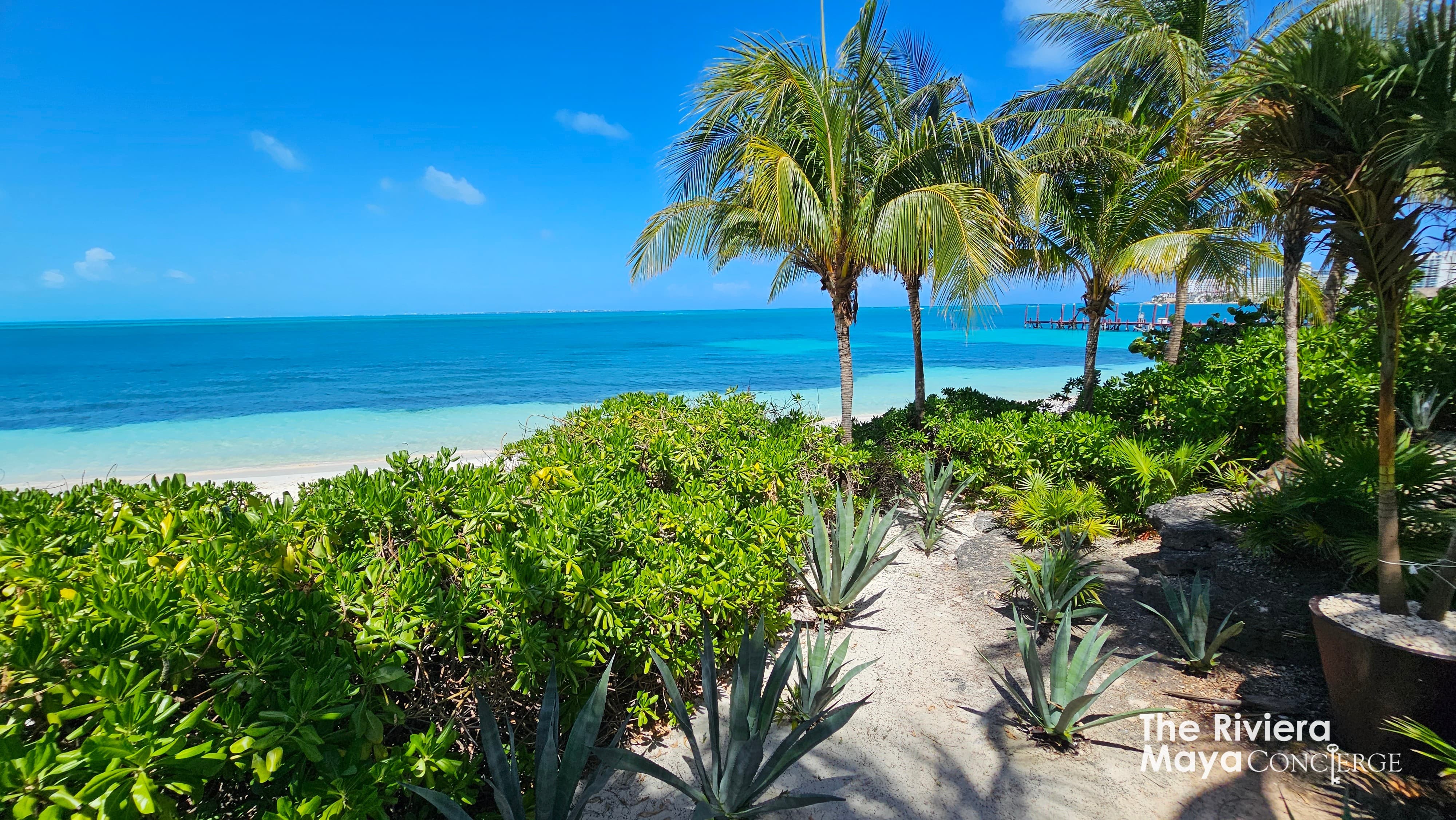 Private beachfront surrounded by lush tropical gardens and turquoise Caribbean waters — Villa Albatros, part of I Live Where You Vacation’s Riviera Maya luxury villa collection. | Playa privada rodeada de jardines tropicales y aguas turquesa del Caribe — Villa Albatros, parte de la colección de lujo Riviera Maya de I Live Where You Vacation.
