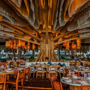 Interior view of Ilios Cancun, a fine dining restaurant in the Riviera Maya, showcasing an impressive wooden ceiling structure resembling a tree with warm ambient lighting and elegantly set tables — a masterpiece of contemporary design and luxury dining. – I Live Where You Vacation | Vista interior de Ilios Cancún, un restaurante de alta cocina en la Riviera Maya, con una impresionante estructura de techo de madera que evoca un árbol, iluminación cálida y mesas elegantemente dispuestas — una obra maestra de diseño contemporáneo y gastronomía de lujo. – I Live Where You Vacation
