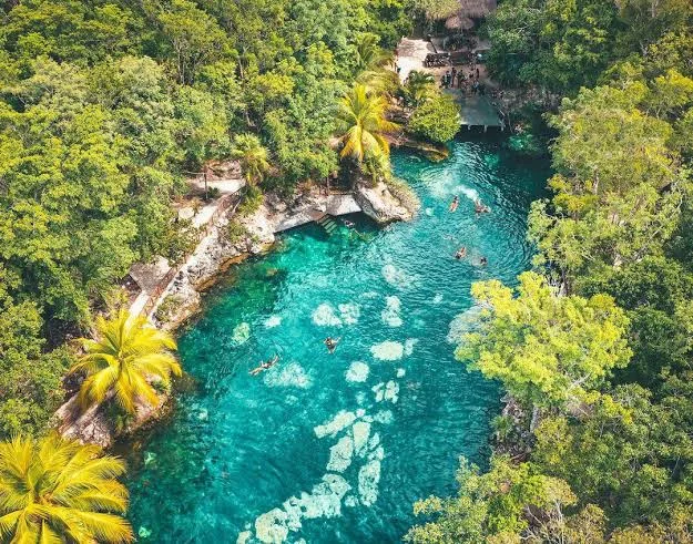 Aerial view of Casa Tortuga Tulum surrounded by Riviera Maya jungle