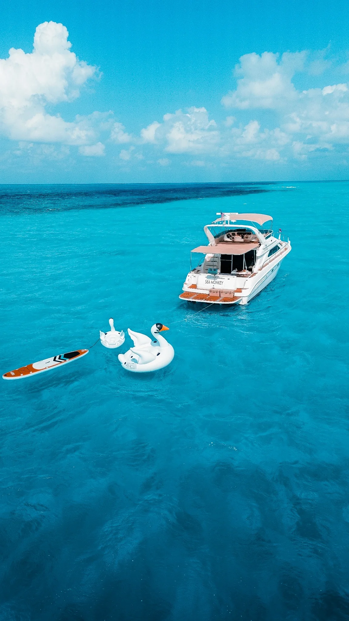 Sea Monkey 50ft private yacht with water toys near Isla Mujeres